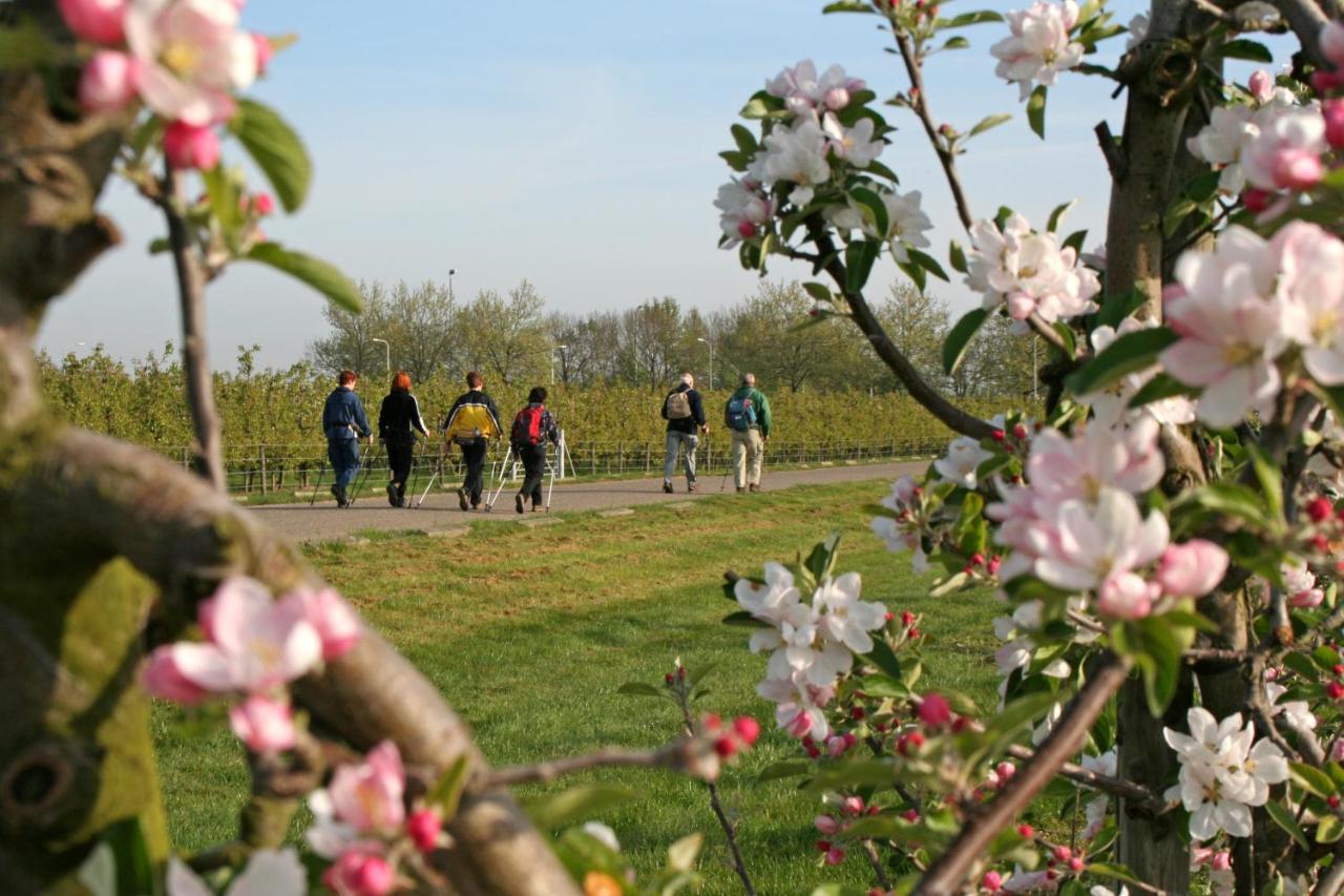 Lesroses1680 Bed & Breakfast Blainville-sur-Mer Luaran gambar